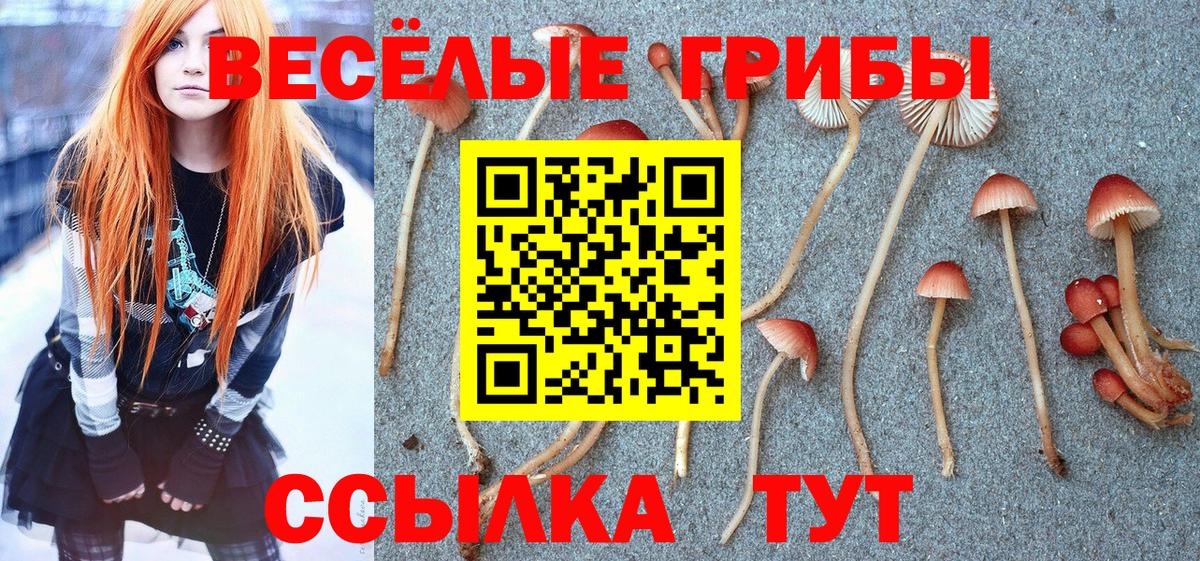 Галлюциногенные грибы ЛСД Норильск