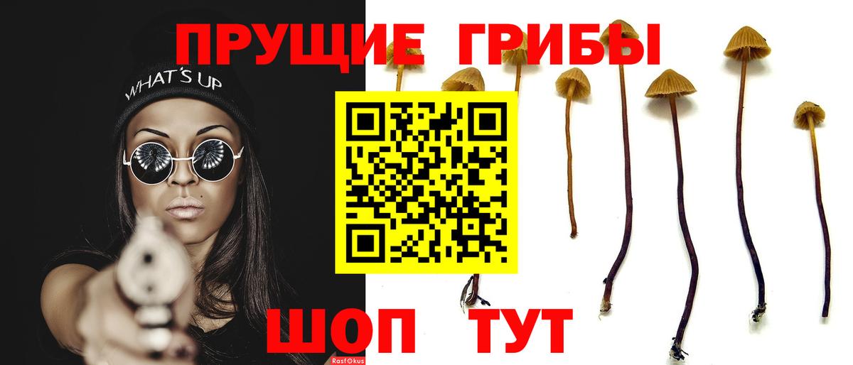 Псилоцибиновые грибы Psilocybine cubensis  Вход с VPN  Галлюциногенные грибы Cubensis  Норильск 